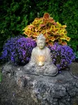 Studio Zen in Kirkland