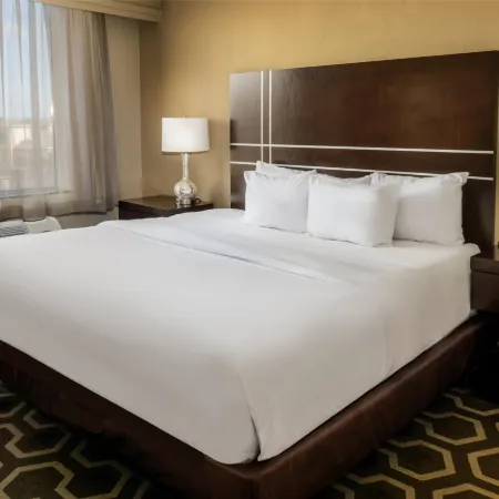 Embassy Suites by Hilton St. Louis Airport