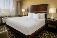 Embassy Suites by Hilton St. Louis Airport - Frühstück