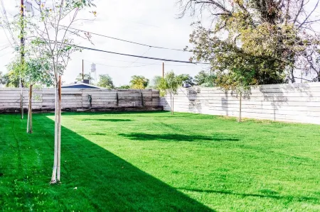 The Palm House: DOWNTOWN GILBERT