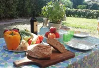 Private house with garden 100 meters from the sea - CITRA code 008065-LT-0050