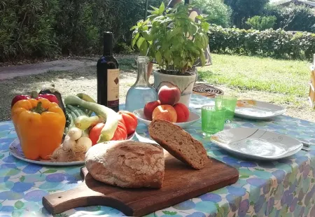 Private house with garden 100 meters from the sea - CITRA code 008065-LT-0050