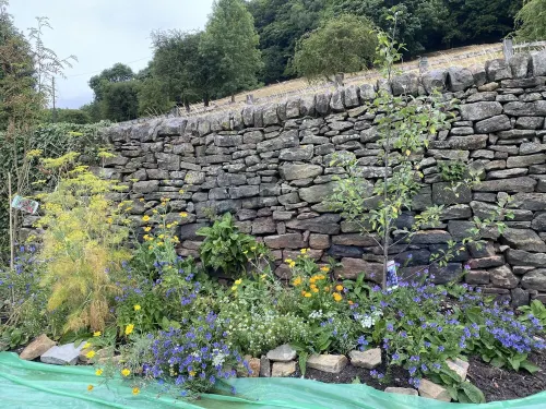 Cosy cottage, stunning views near Chatsworth - Hot Tub