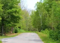 *New* Cozy 4 Season Family Cottage