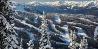 Modern and Cozy 2bed/2bath Ski In-Ski Out in Quiet Upper Village