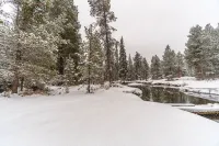 The Cabin Of Your Dreams - 4-Star