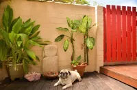 Naturaleza, Playas, Trecking, Mata Atlantica, Familia y Mascotas Pequeñas Bienve Lopes Mendes海灘附近的飯店