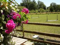 Converted from a old dairy into a beautiful, quaint cottage in The New Forest.