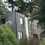 Bellbird Bach  - Akaroa Hotels in Akaroa