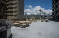 OceanView Studio Waikiki Legal