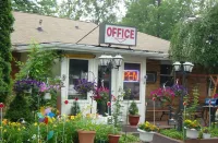 Chateau Motor Lodge - Motels