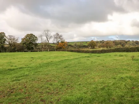 Pensarngerrig Отели в г. Лландисал