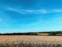 "La Petite Félixière" à 25 Min du Puy du Foù, 10 Min de Cholet, et 35 Min de Nantes Hotels in Sevremoine