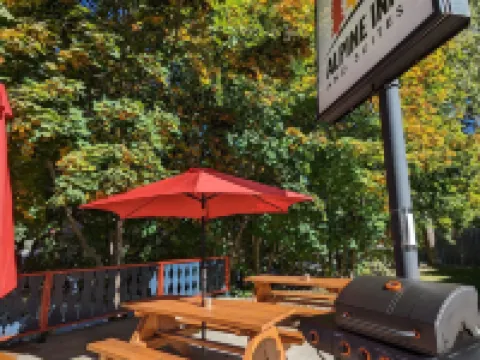 アルパイン イン & スイーツ ネルソンのホテル