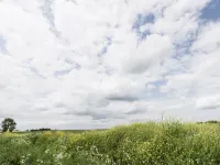 Ashtree Cottage Hotel a Skeffling