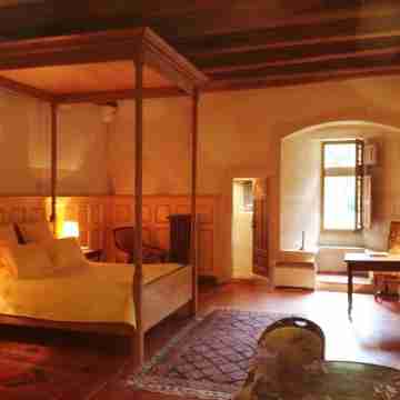 Château de Saint-Loup-sur-Thouet Rooms