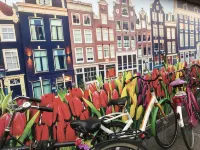 Amsterdam 4 Holiday GuestRooms - Bed and Breakfasts