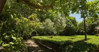 Villa Puccini