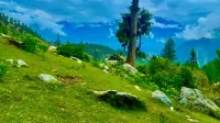 Ridge Inn Hotels in Swat Tehsil