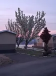 The River Rue RV Park Hotel a Wilbur