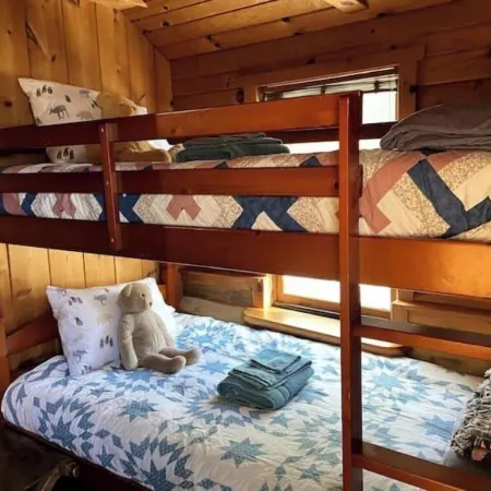 Magical Log Cabin, Streams in Private Yard, 4 Bedrooms, Pet Friendly, WiFi