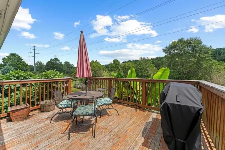 Cozy 2BR Near Furman & Downtown, Fenced Yard Отели в г. Санс Сауси