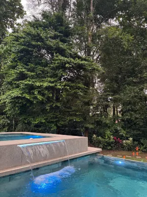 Seven Paradise - Your personal rainforest - Lodges