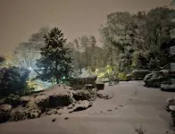 Park view, relax and unwind! Near Paris center and Disneyland