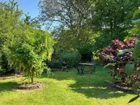 The cat on the broom