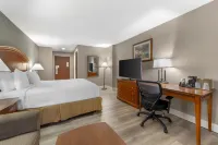 Best Western Manassas Hotels in Manassas