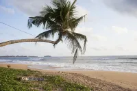 Beachfront villa with pool and full staff