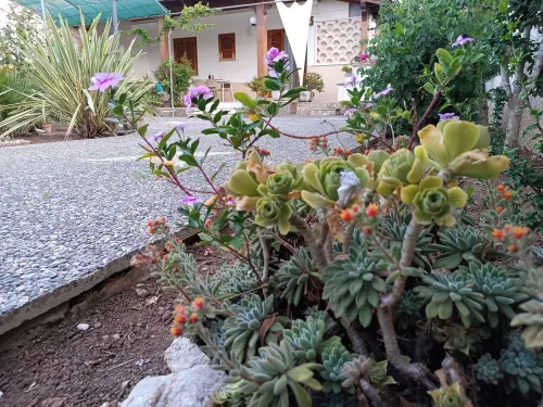 The garden of Sofia Charm and Comfort Apartment Hotels in Torre dell'Orso