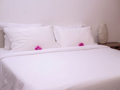 MCHAICHAI villa: Newly built with a pool along Kiwengwa beach.
