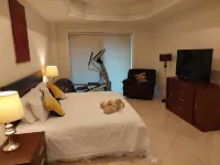403 Landmark Resort Cozumel luxury beachfront condo, oceanview, snorkel paradise
