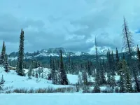 Escape to the Choosey Moose Cabin in the mountains of Dubois, WY