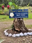 Maui Creek Bures - BURE CAGI! Hotel a Sigatoka