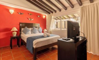 La Iguana Vallarta Lgbt Adults Only - Romantic Zone - Party Clubbing Street