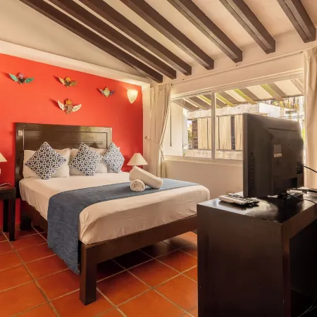 La Iguana Vallarta Lgbt Adults Only - Romantic Zone - Party Clubbing Street