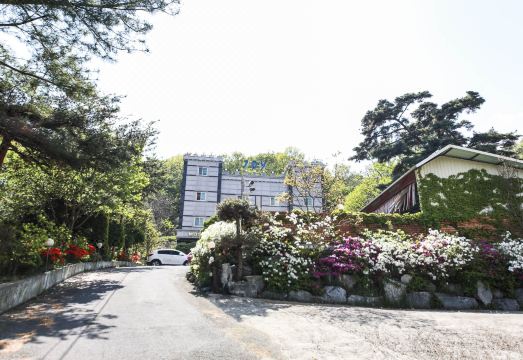 숙소 주변 풍경