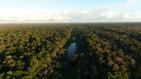 Amazon Jungle Expeditions Lodge - Homestays