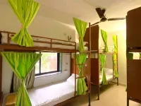 Jungle by Sturmfrei Vagator Hotels in Chapora