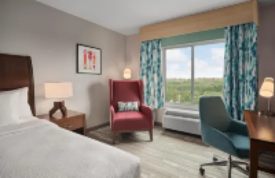 坦帕北希爾頓花園酒店