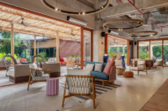 ม็อกซี่ ตูลุม