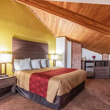 Econo Lodge Inn & Suites Hotel di County Collin