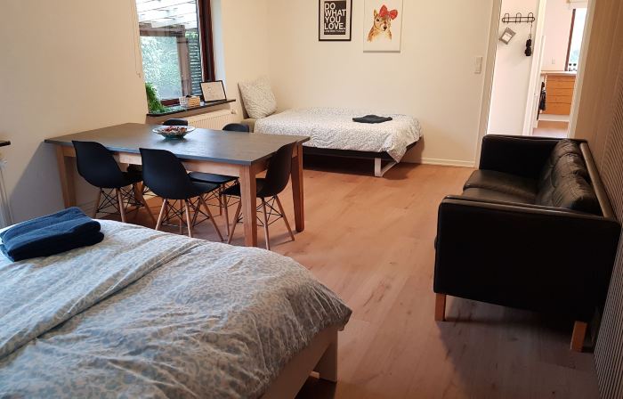 Central House in Billund 5 Bdr - Next to Lego Adventures
