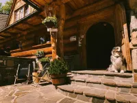 Pokoje Javorina Hotels in Tatra County