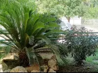 Marousi Residence with Garden Hotels in Marousi