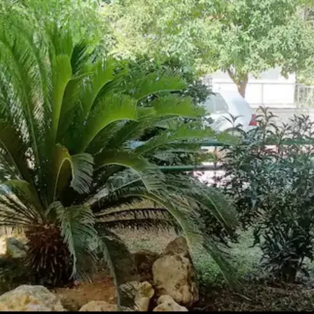 Marousi Residence with Garden