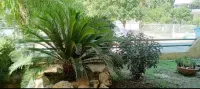 Marousi Residence with Garden