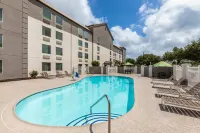 La Quinta Inn & Suites by Wyndham Austin Round Rock - Pool